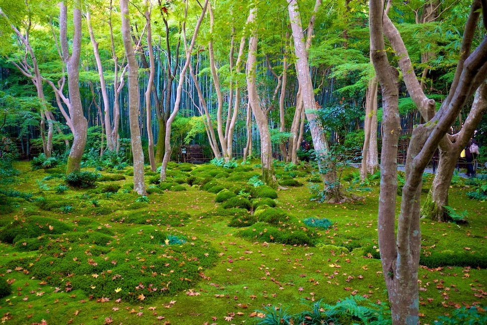 Giö-ji
