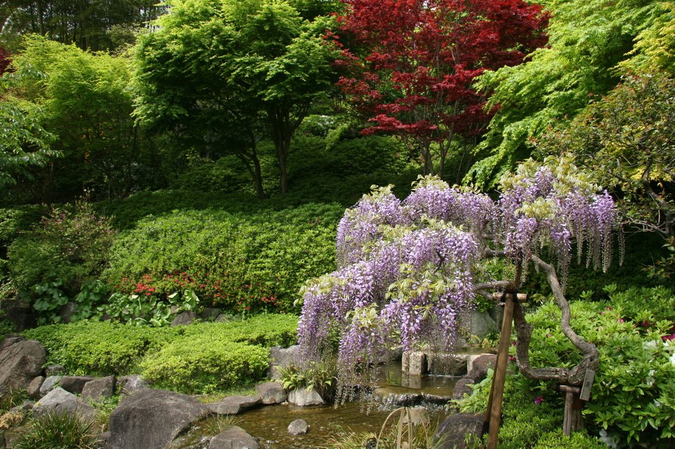 Hase-dera